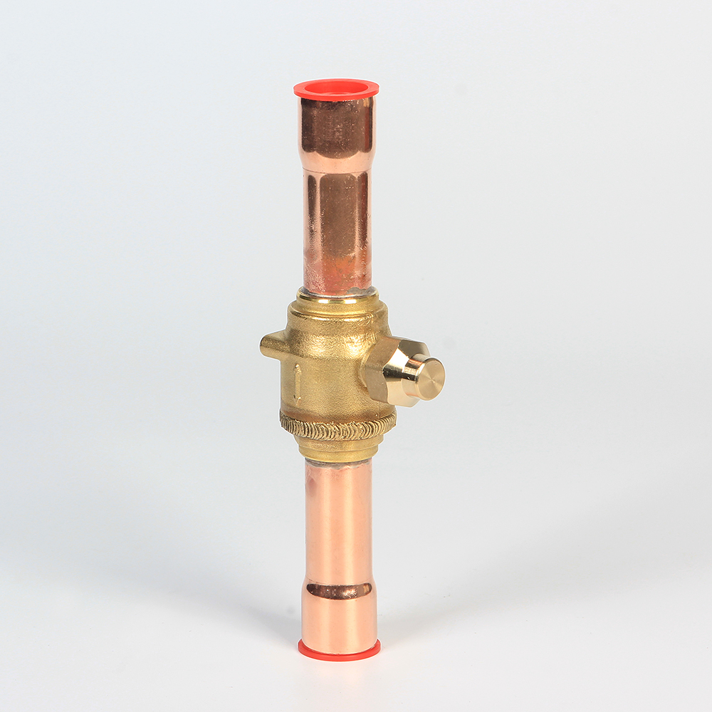 Брайсонд бэлэн эд хөрөнгийг хөргөгч Хөргөгчийг угаана бөмбөг тохиргооног